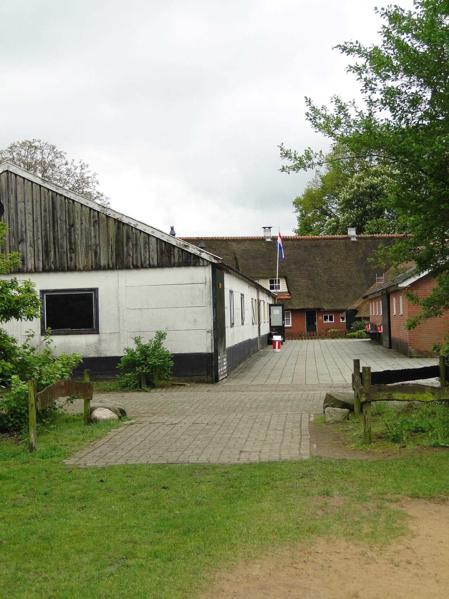 HWK 2010 024.jpg